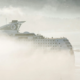 Hygiene-dentaire-en-voyage. White cruise ship covered in mist